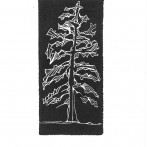 Growing Trees