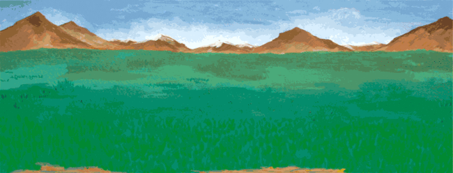 blooming-banner Blooming