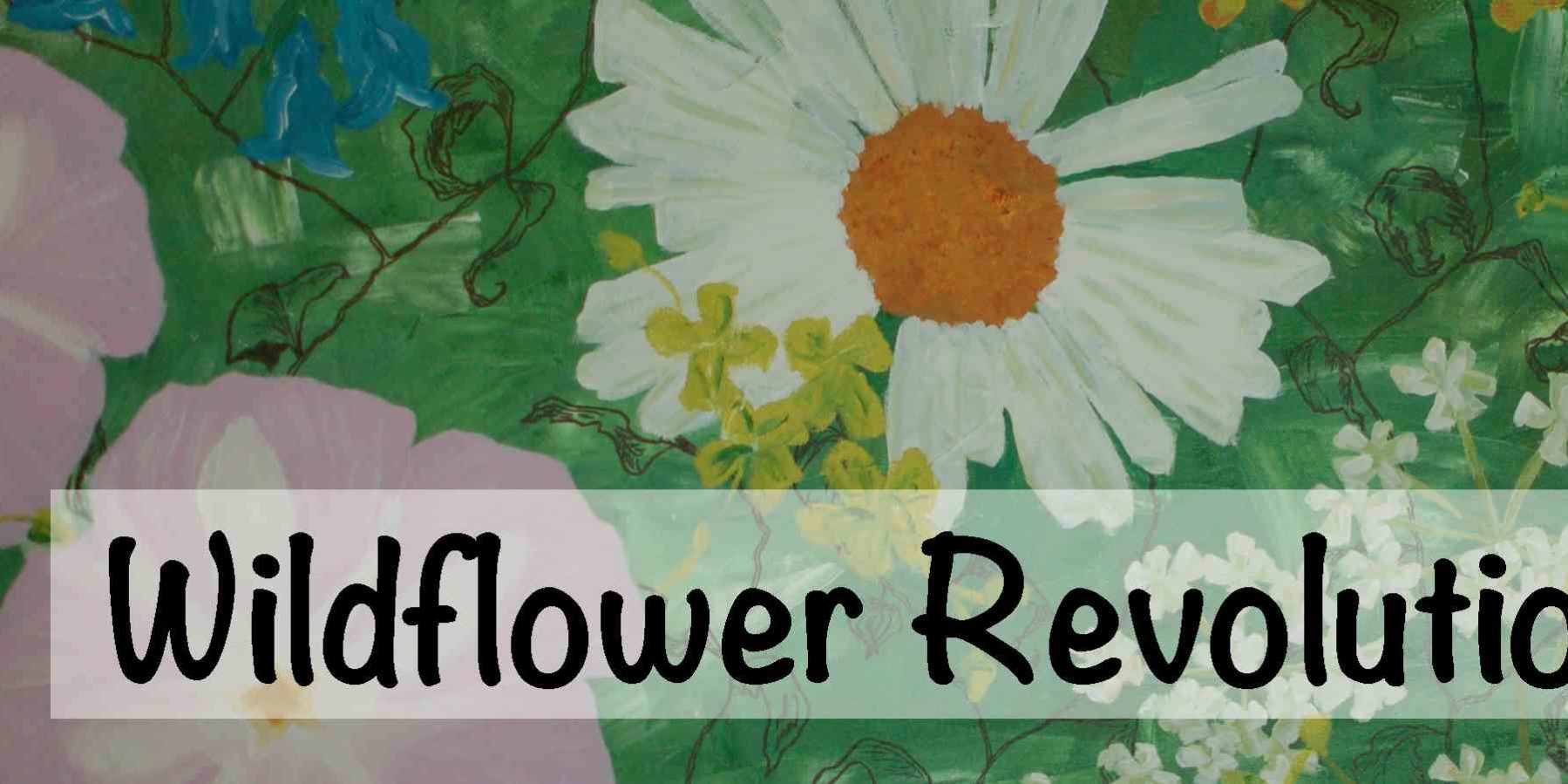 wildflower banner1