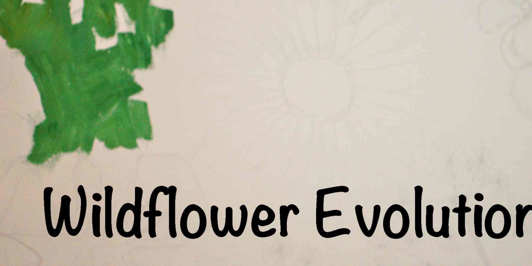 Wildflower EVOLUTION banner1