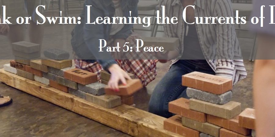 part 5 – peace banner