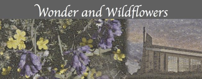 Wonder and Wildflowers banner