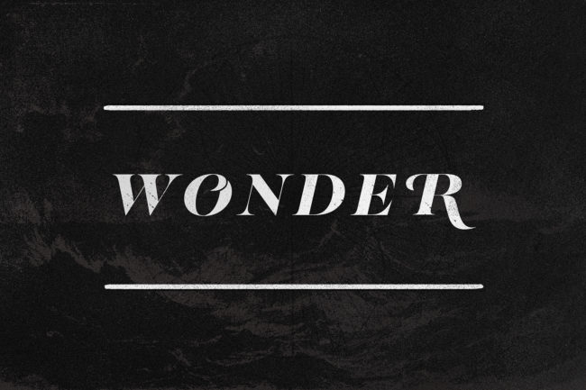 wonder