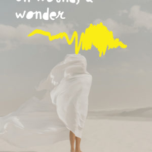 On Wounds & Wonder Book Front Cover