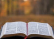 Bible