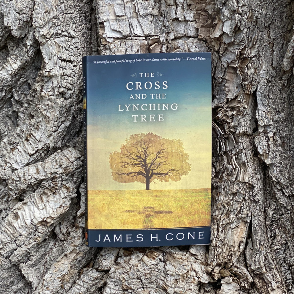 The Cross and the Lynching Tree book cover